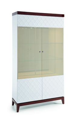 Moderne Design Vitrine Glasschrank Vitrinen Schrank Schaukasten Regal VI - W2