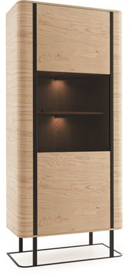 Vitrine Aktenschrank Schrank Vitrinen Büro Wohnzimmer Hochschrank Regal GRW12