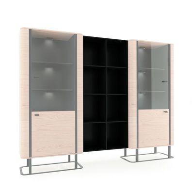 Regal Regal Aufbewahrung Wohnwand Schrank Aktenschrank Büro Office Neu Grande N