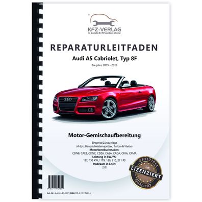 Audi A5 8F 2009-2016 Benzin Einspritz- Zündanlage 179-211 PS Reparaturanleitung