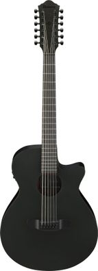 Ibanez AEG1221-BOT