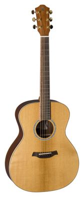 Baton Rouge TLW/A Wild Service Tree