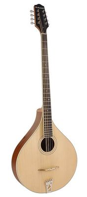 Richwood Irish Bouzouki