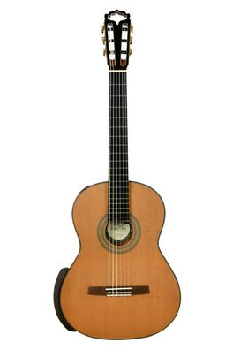 Hanika New Century Doubletop Custom