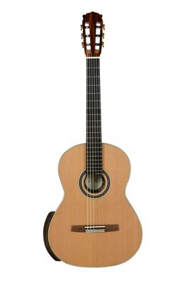 Hanika New Century DTL Custom