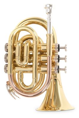 Roy Benson PT-101 in B Taschentrompete