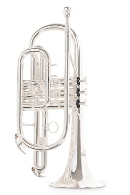 Roy Benson CR-202S in B