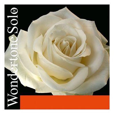 Pirastro Wondertone Solo Violine