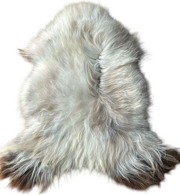 Island Lammfell - Ganzes Schaffell, Langhaarig Cremeweiß mit Braunen Spitzen | Skandi
