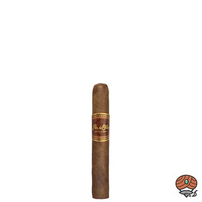 Flor de Oliva Original Robusto Zigarre aus Nicaragua