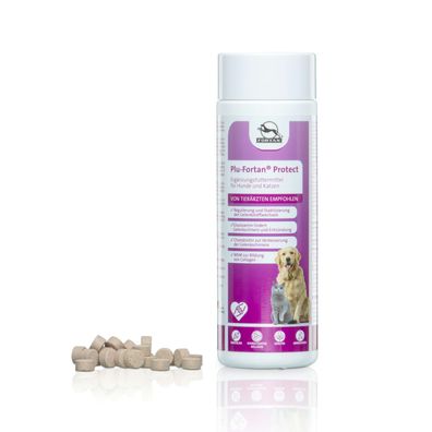 Plu-Fortan® Protect - Tabletten mit MSM