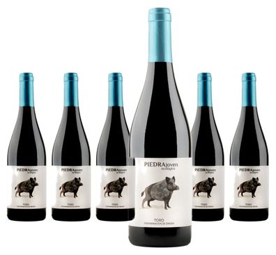 6 x Bodegas Piedra Joven – 2025