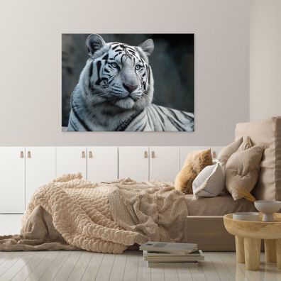 Leinwandbild Tiger Tiere Natur Weiß Leinwand Bilder Wanddeko Wohnzimmer Schlafzimmer