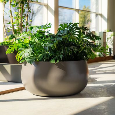 ADEZZ LORA PLO Pflanzkübel Fibreglass - bringen Sie die Ästhetik des Innendesigns