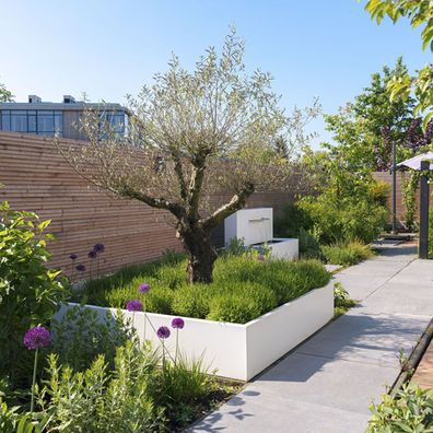 ADEZZ CARREZ RAL7021 Pflanzkübel Aluminium AF18 - passt zu Gärten mit klaren Linien