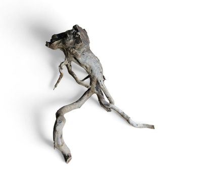 Dunkle Moorwurzel L (40-45 cm) Wurzel 17