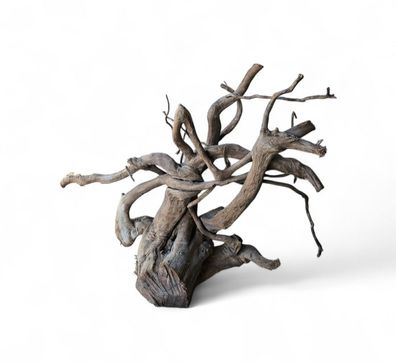 Dunkle Moorwurzel L (40-45 cm) Wurzel 932