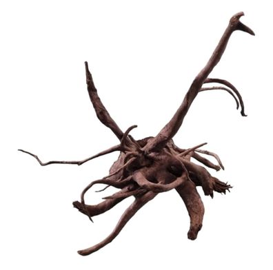 Dunkle Moorwurzel 40-55 cm Wurzel500