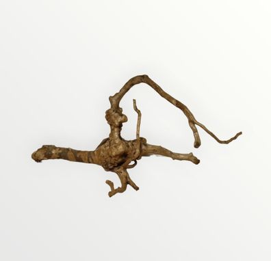 Dunkle Moorwurzel 30-40 cm Wurzel389