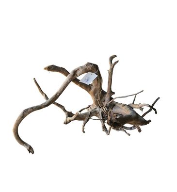 Dunkle Moorwurzel 40-55 cm Wurzel501