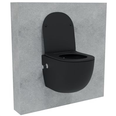 HAGO® 2in1 Hänge WC Bidet Schwarz Spülrandlos Tornadospülung Softclose 54cm Lang