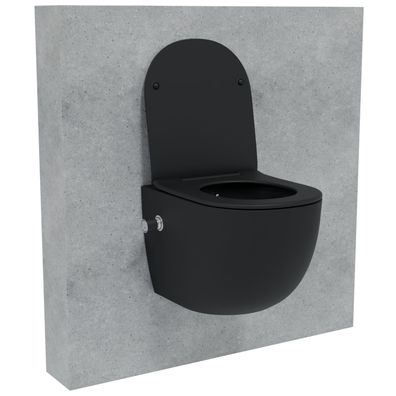 HAGO® 2in1 Hänge WC Bidet Schwarz Spülrandlos Tornadospülung Softclose 49cm Kurz