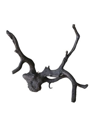 Schwarze Moorwurzel M (25-30 cm) Wurzel 936