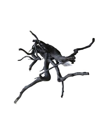 Schwarze Moorwurzel M (25-30 cm) Wurzel 264