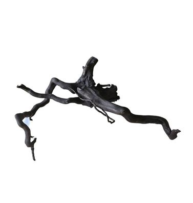 Schwarze Moorwurzel M (25-30 cm) Wurzel 266