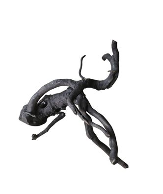 Schwarze Moorwurzel M (25-30 cm) Wurzel 267