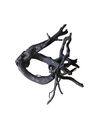 Schwarze Moorwurzel M (25-30 cm) Wurzel 259