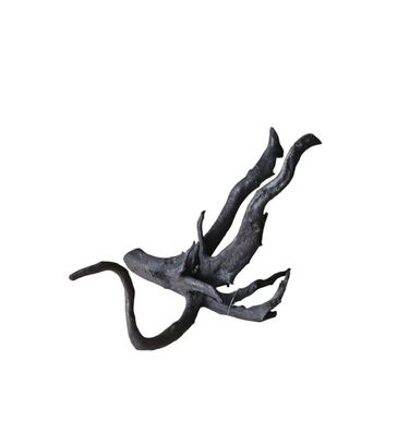 Schwarze Moorwurzel M (25-30 cm) Wurzel 53