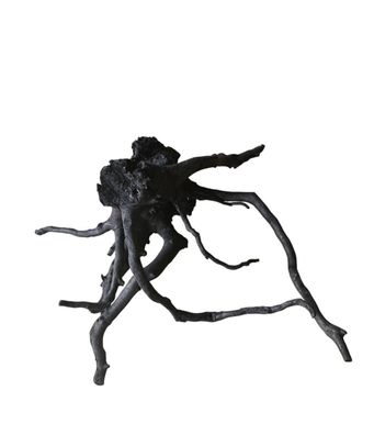 Schwarze Moorwurzel M (25-30 cm) Wurzel 55