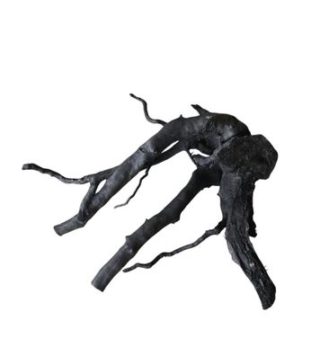 Schwarze Moorwurzel M (25-30 cm) Wurzel 58