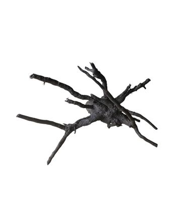 Schwarze Moorwurzel M (25-30 cm) Wurzel 110