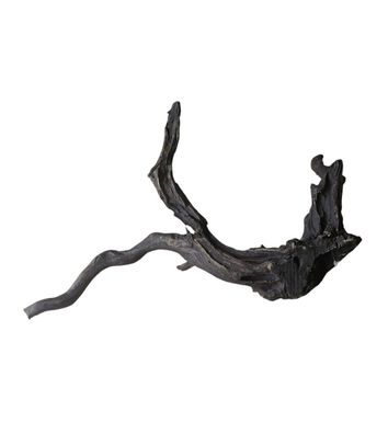 Schwarze Moorwurzel L (40-45 cm) Wurzel 112