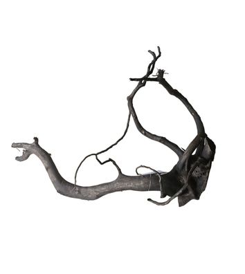 Schwarze Moorwurzel L (40-45 cm) Wurzel 928