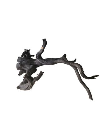 Schwarze Moorwurzel L (40-45 cm) Wurzel 929