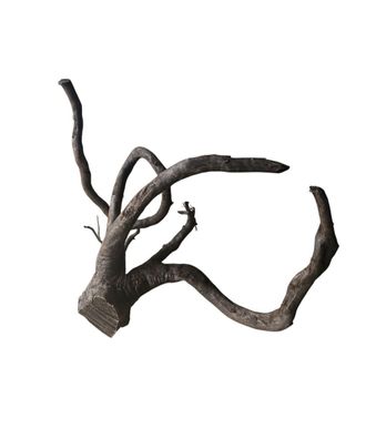 Schwarze Moorwurzel L (40-45 cm) Wurzel 930