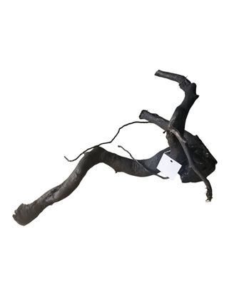 Schwarze Moorwurzel L (40-45 cm) Wurzel 931