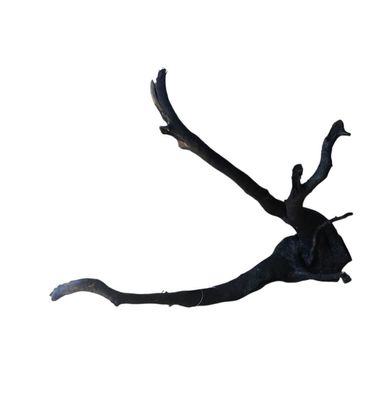 Schwarze Moorwurzel L (40-45 cm) Wurzel 933