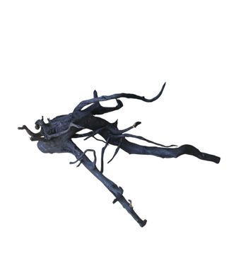 Schwarze Moorwurzel L (40-45 cm) Wurzel 934