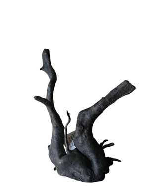 Schwarze Moorwurzel M (25-30 cm) Wurzel 262