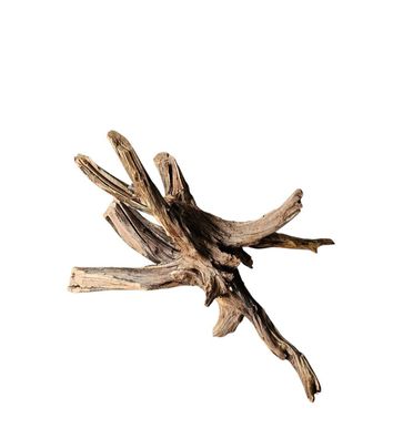 Coral Sinker Wood Nr. 869