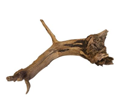 Coral Sinker Wood Nr. 870