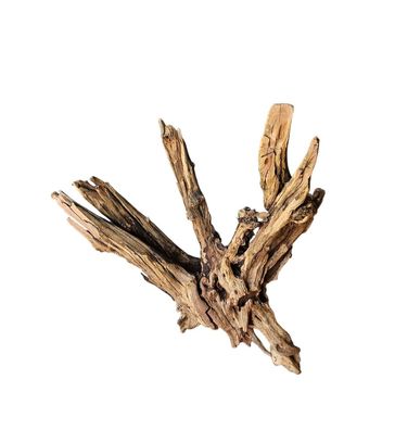 Coral Sinker Wood Nr. 877