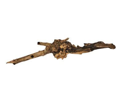 Coral Sinker Wood Nr. 883