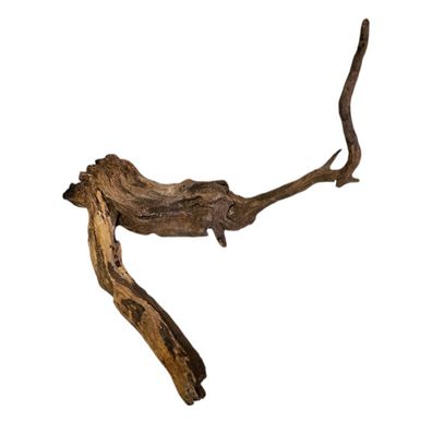 Coral Sinker Wood Nr. 894