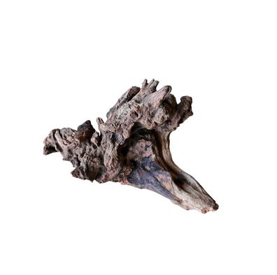 Coral Sinker Wood Nr.555