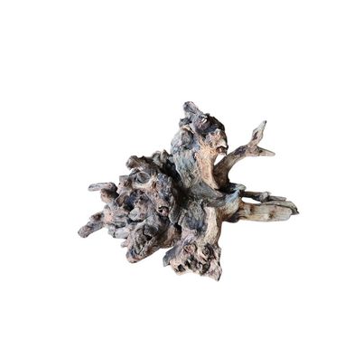 Coral Sinker Wood Nr.557